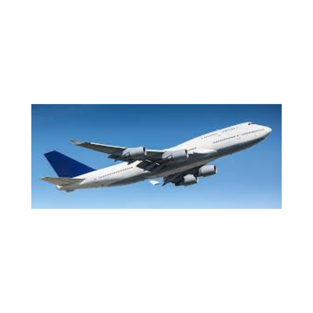 DOMSTIC FLIGHT TOURS